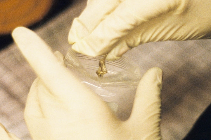 Tips til Smykkevedligeholdelse