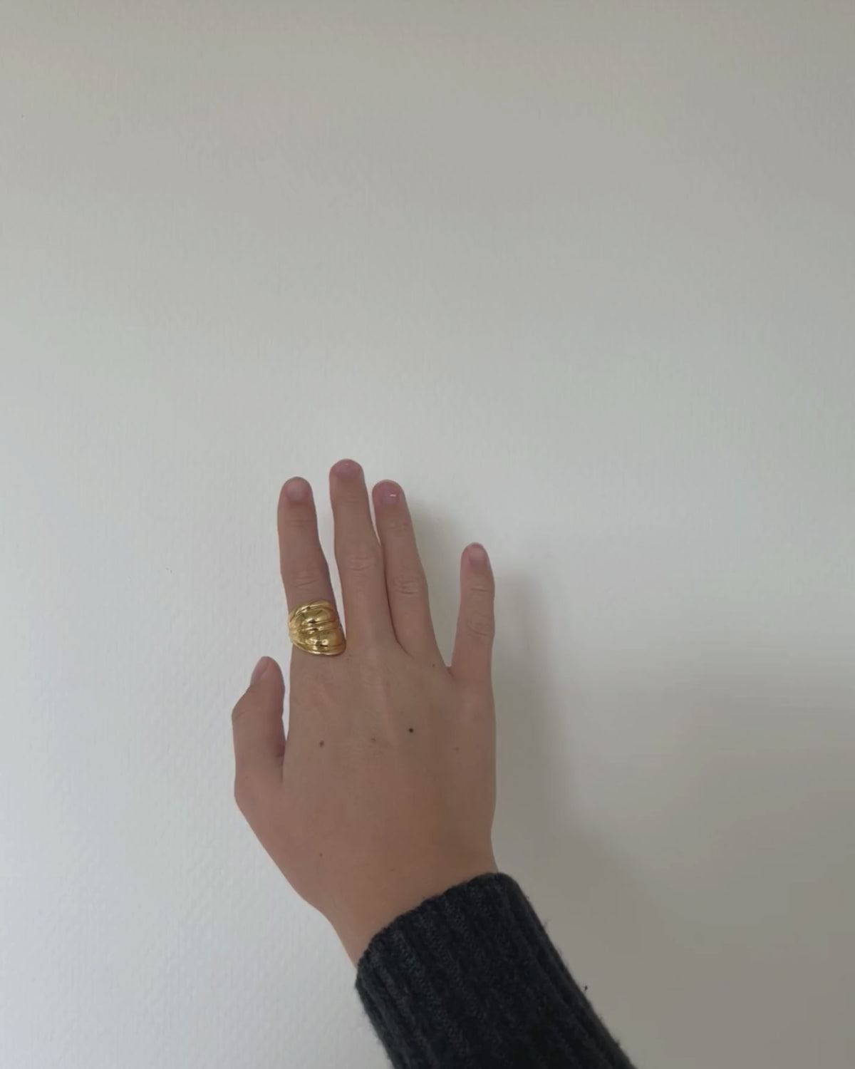 Shield ringen har et råt og chunky look. Ringen er inspireret af det skjold, som man kan gå og gemme sig bag og beskytte sig med dagligt. Derfor kan man med Shield ringen skabe et look, der udstråler viljestyrke og power.